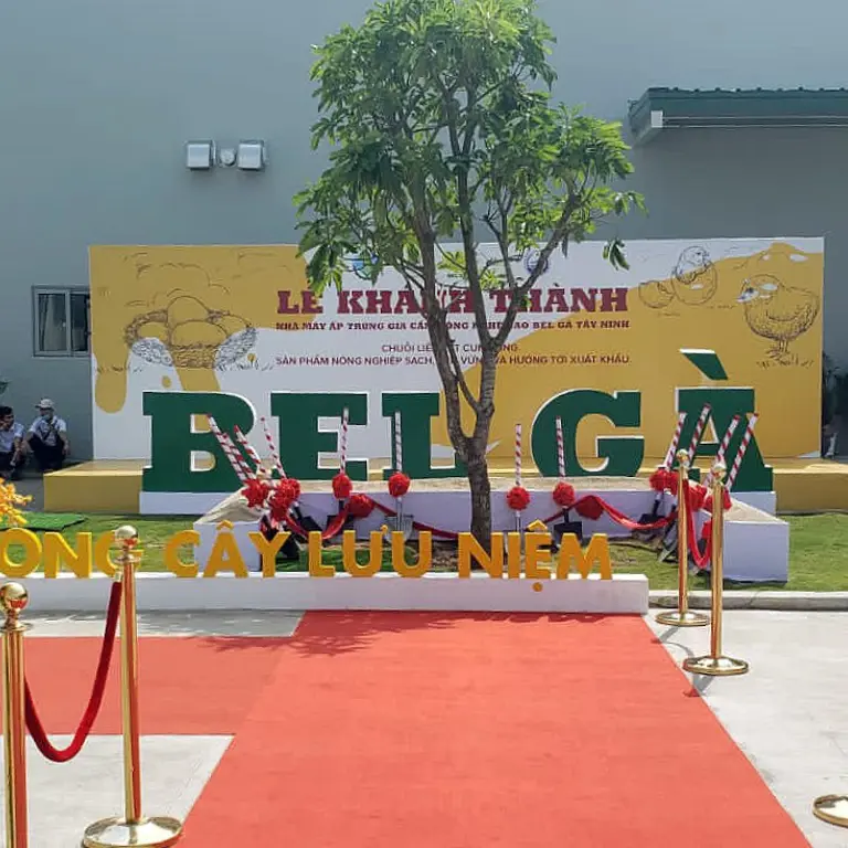 Bel Ga aumenta sua fatia de mercado com segundo incubatório no Vietnã